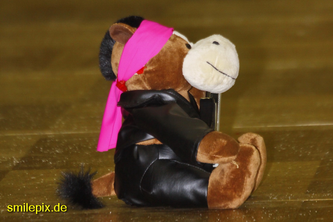 Karlsruhe 9.1.10 (866)